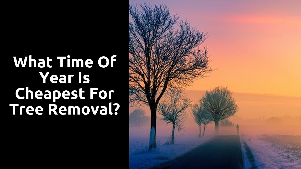 What time of year is cheapest for tree removal?