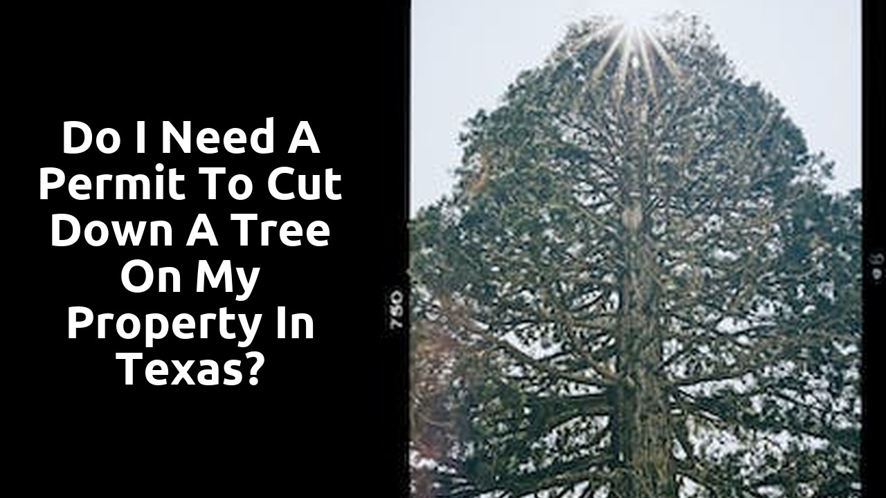 Do I need a permit to cut down a tree on my property in Texas?